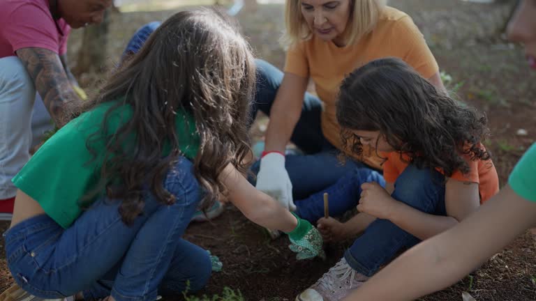 Best Root Management and Removal  in Albuquerque, NM